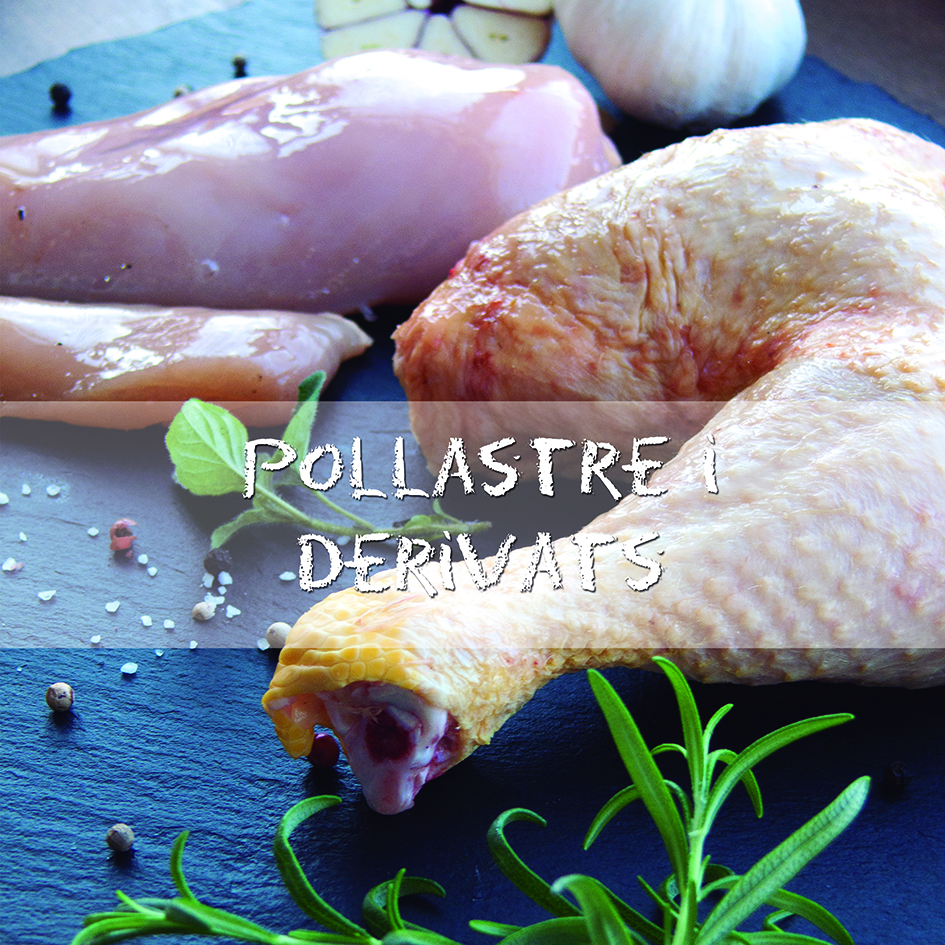 POLLO Y DERIVADOS